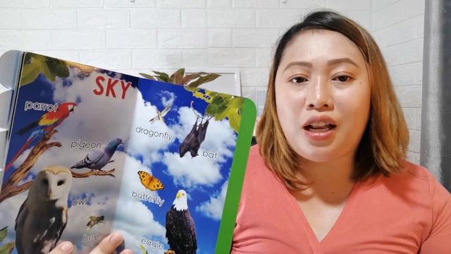 SMART BABIES EARLY LEARNING BOARD BOOKS Review + Unboxing | Best Board Books For Babies & Toddlers