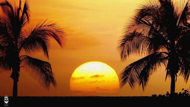 Mambo Italiano REMIX 2024 смотреть онлайн