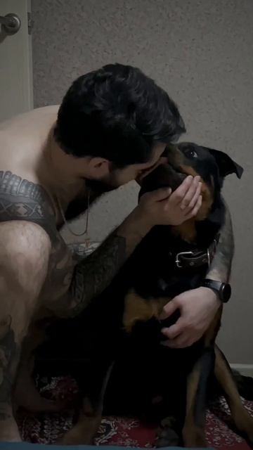 Не бывает плохих собак - бывают плохие хозяева😉 смотреть онлайн