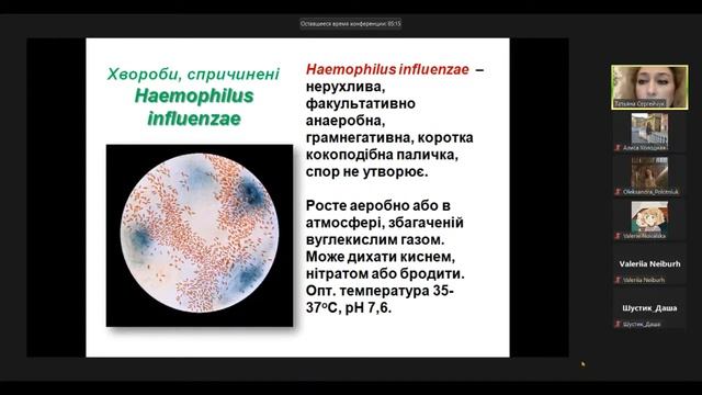 Систематика бактерій 5 - 06.10 смотреть онлайн