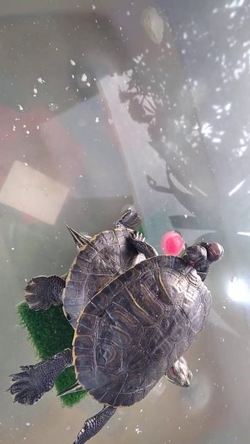 21 октября 2022 г. смотреть онлайн