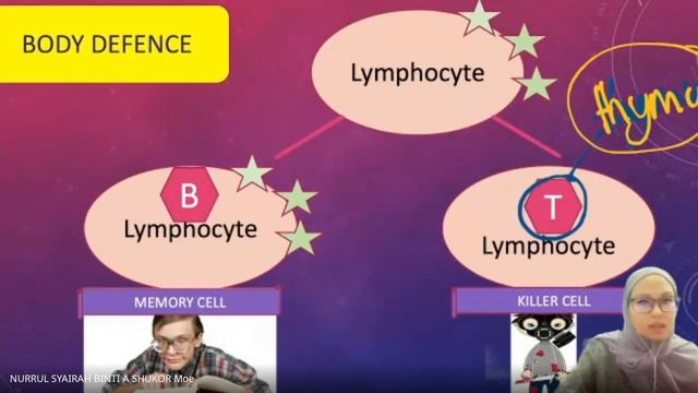 Biology Form 4 KSSM Chapter 11 Immunity (Part 2) смотреть онлайн