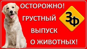 083 В конце 11-ой минуты Вам захочется плакать