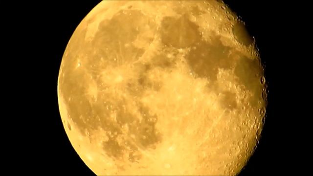 СВЕРЧКИ В СУПЕРПОЛНОЛУНИЕ