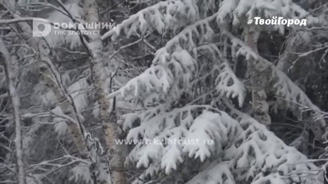 Готовьте зимнюю резину, господа!