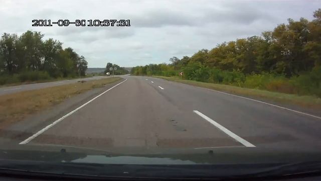 Лиса.mp4 смотреть онлайн