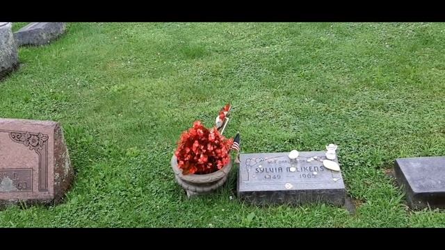 The grave of Sylvia Likens смотреть онлайн