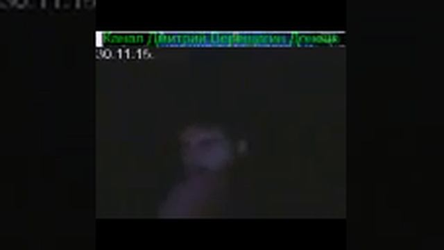 30.11.15. д 5 ч.2 Ежедневные видео-дневники моносыроеда. Подготовка к праноедению  (Бритарианству)