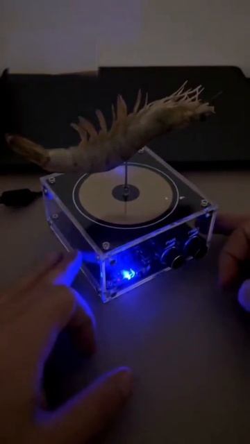 Tesla Coil Speaker - Order now, Supplies Limited! смотреть онлайн