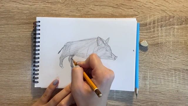 Как нарисовать кабана карандашом | Рисунок для начинающих поэтапно смотреть онлайн