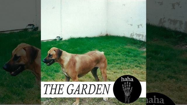 Red Green Yellow смотреть онлайн