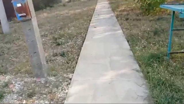 Вова по дороге домой. 04.10.2023 год