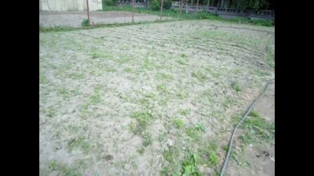 Сельский час 24 05 2018 г смотреть онлайн