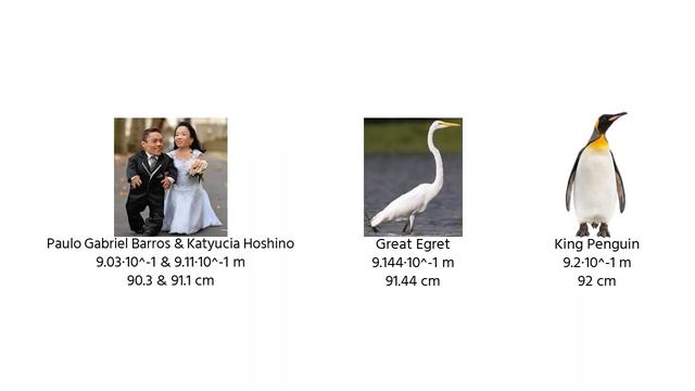 Universe Size Comparison【Part 39】(70cm ~ 1.7m!) смотреть онлайн