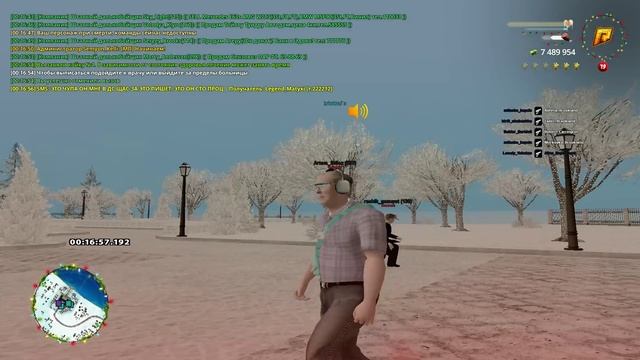 бублер шо тты упал