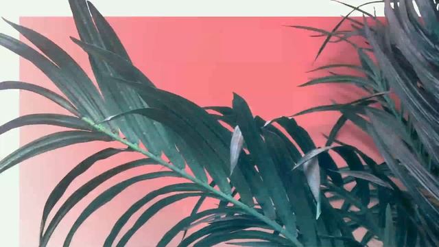 Sonambient - Better never смотреть онлайн