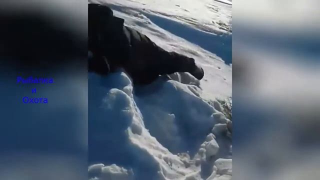 Русская охота Ловля зайца голыми руками смотреть онлайн