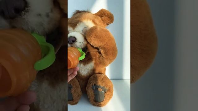 Обзор мишки Кабби фурРеал , FurReal Cubby, The Curious Bear Interactive Plush Toy