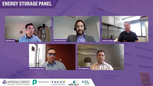 Energy Storage: The Value Proposition for a Sustainable Future смотреть онлайн