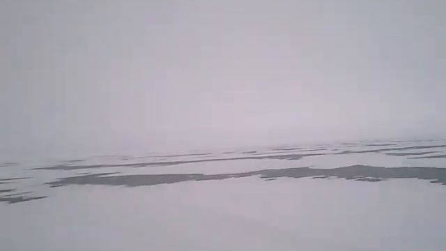 Вобла жрет смотреть онлайн