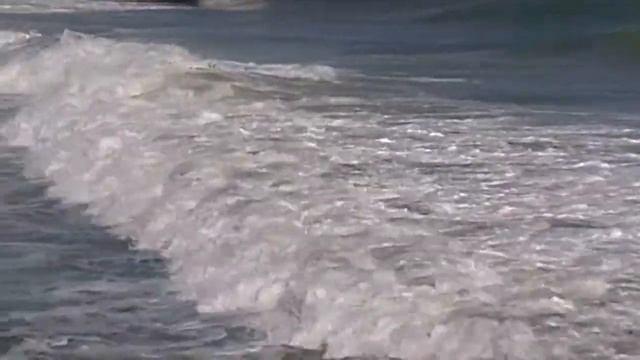 Playa Parguito, Isla De Margarita, Buenazo!!! смотреть онлайн