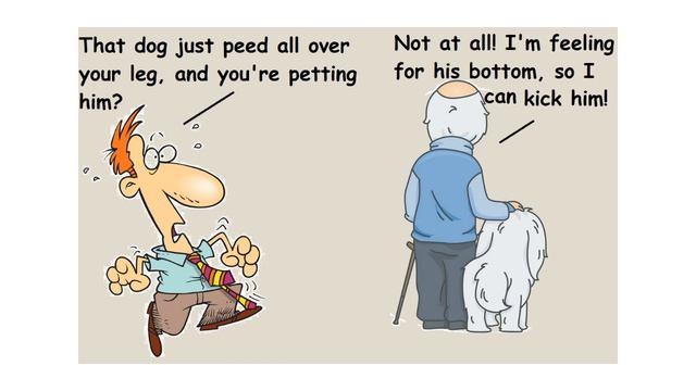 BEST FUNNY DOGS COMPILATION LONG - Shit My Dog Says смотреть онлайн