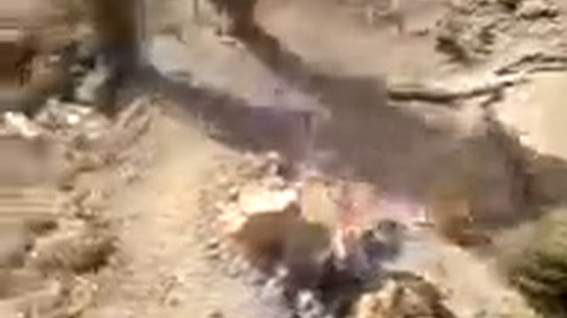 маарав я и друзья и пума смотреть онлайн