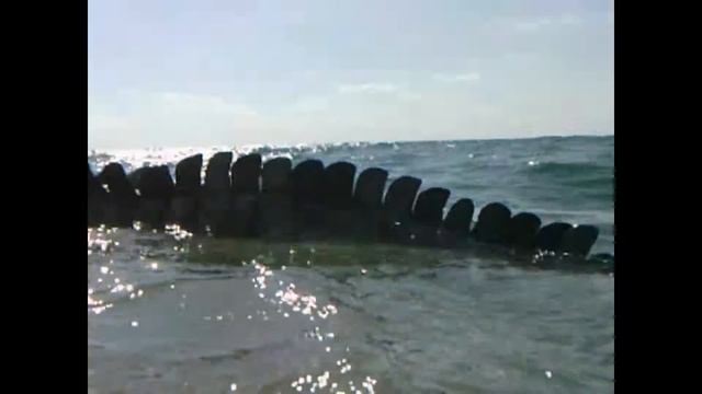 Crocodile on the beaches of Israel смотреть онлайн