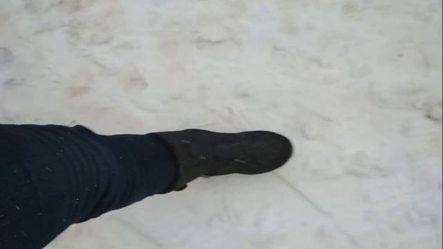 Первая прогулка в  Nordman Fox  11.01.2020  г. Москва