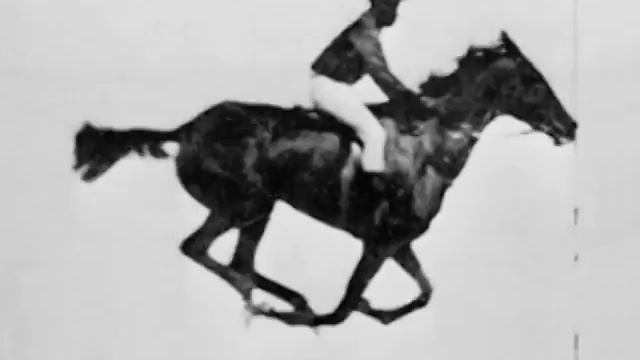 Race Horse First Film Ever 1878 Eadweard Muybridge смотреть онлайн