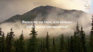 Очень красивое чтение суры аль 'Аляк العلق Сгусток крови Омар Хишам