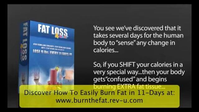FatLoss 4 Idiots - 10 Rules to Lose Weight in 11-Days смотреть онлайн
