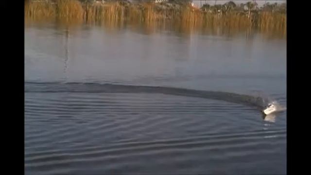 Double horse 7008 MXLI смотреть онлайн