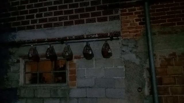 перепела голос живой голос 💥💥Bedanani zo'ri Do'stlar uchun Eshitib dam olizla смотреть онлайн