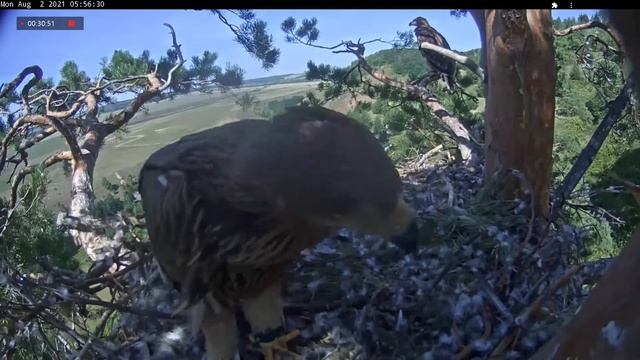 02.08.2021 8:25 - 9:30 Продолжение бодрого спортивного утра💪🏻😀 смотреть онлайн