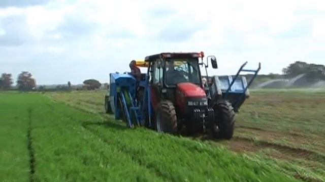 EUROPA CF300 carrot harvester смотреть онлайн