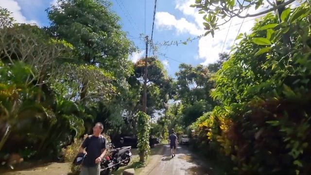 Бали Bali  ,Индонезия ,город Убуд  Ubud Тропа художника .
