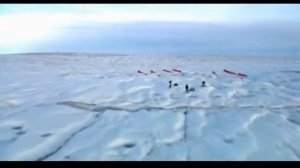 30 Seconds To Mars A Beautiful Life Official Video