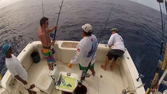 carl vs the marlin 02 смотреть онлайн