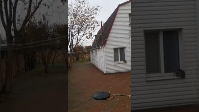 5 февраля 2025 г..mp4