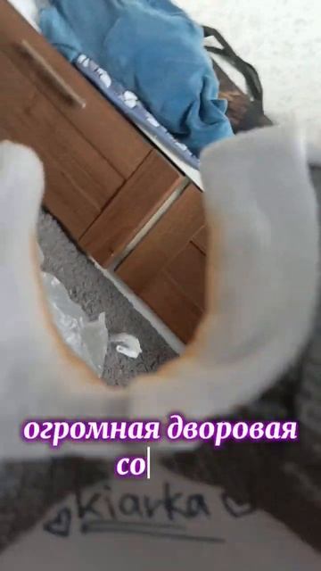 моя мечта 1к в тг, давайте поможем❤️🥹 #квадробика #фурри #рекомендации #териан #топ #art смотреть онлайн