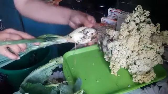 Урожай 2021 начало...