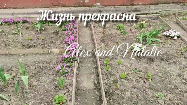 8. Оберегая себя забочусь о доме. Липовый сироп и сливочная панна котта смотреть онлайн