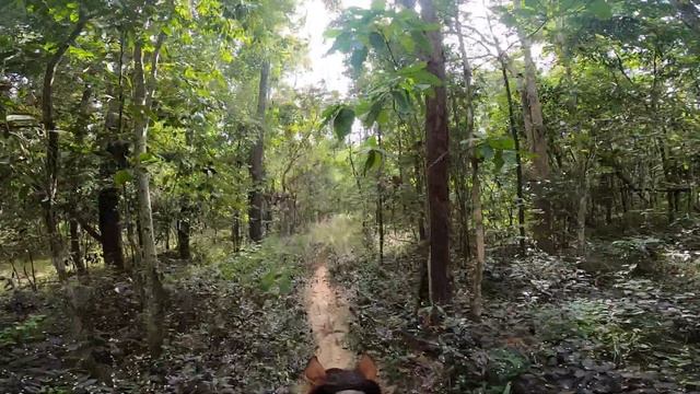 Horse Trail riding - Monday 21st of December 2020 - Sansai - Chiang Mai - Thailand - part 1 смотреть онлайн
