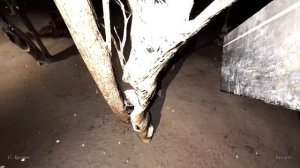 Посещаю новые места в Гренни ремейк // Granny remake 3.1