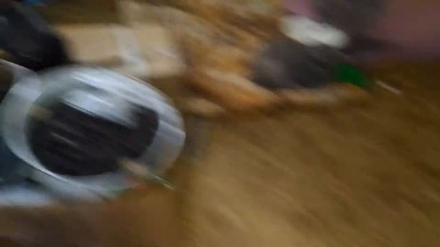 Ксюша с котятами миска с молоком кошка и котята смотреть онлайн