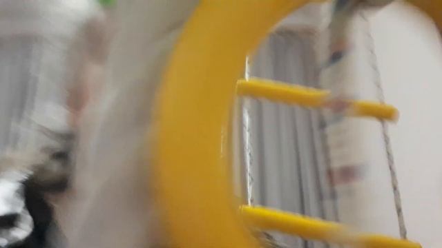 Настя стала ребёнком 24часа