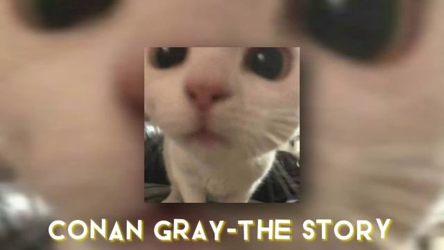 Conan gray-The story(sped up) смотреть онлайн