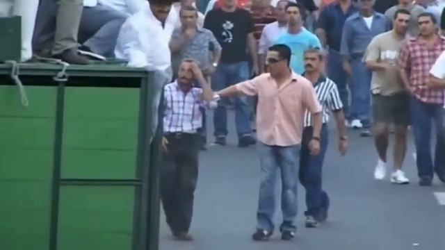 Смельчаки против разъяренных быков в Испании смотреть онлайн