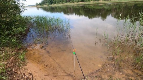 Истринское вдх, д. Татищево. 02.06.24.